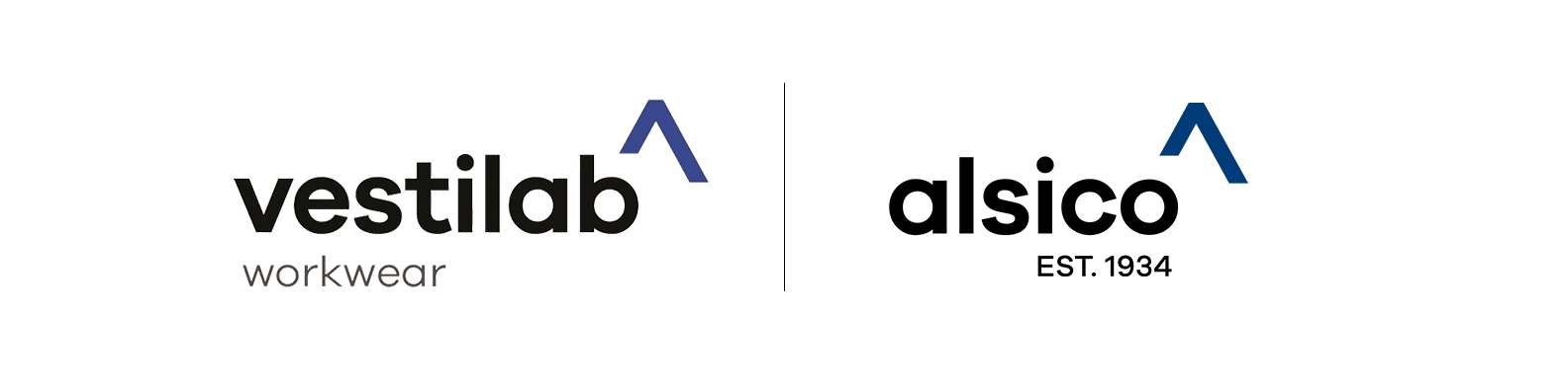 Imagen del logotipo de la empresa Alsico | Vestilab